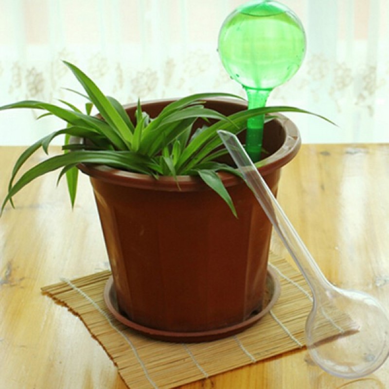 Houseplant watering
