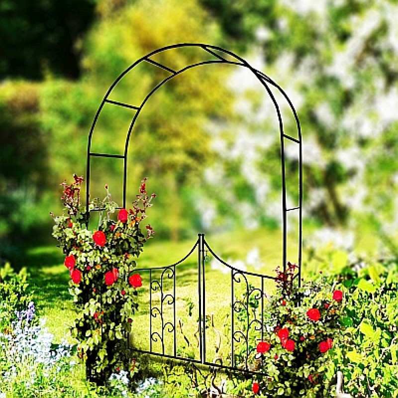 Arches for climbing plants