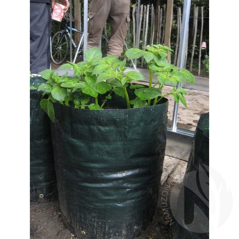 Bag for potatoes and other vegetable growing on a balcony, terrace or patio