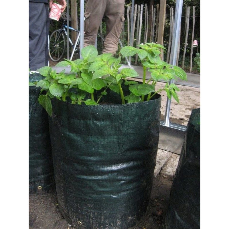 Bag for potatoes and other vegetable growing on a balcony, terrace or patio