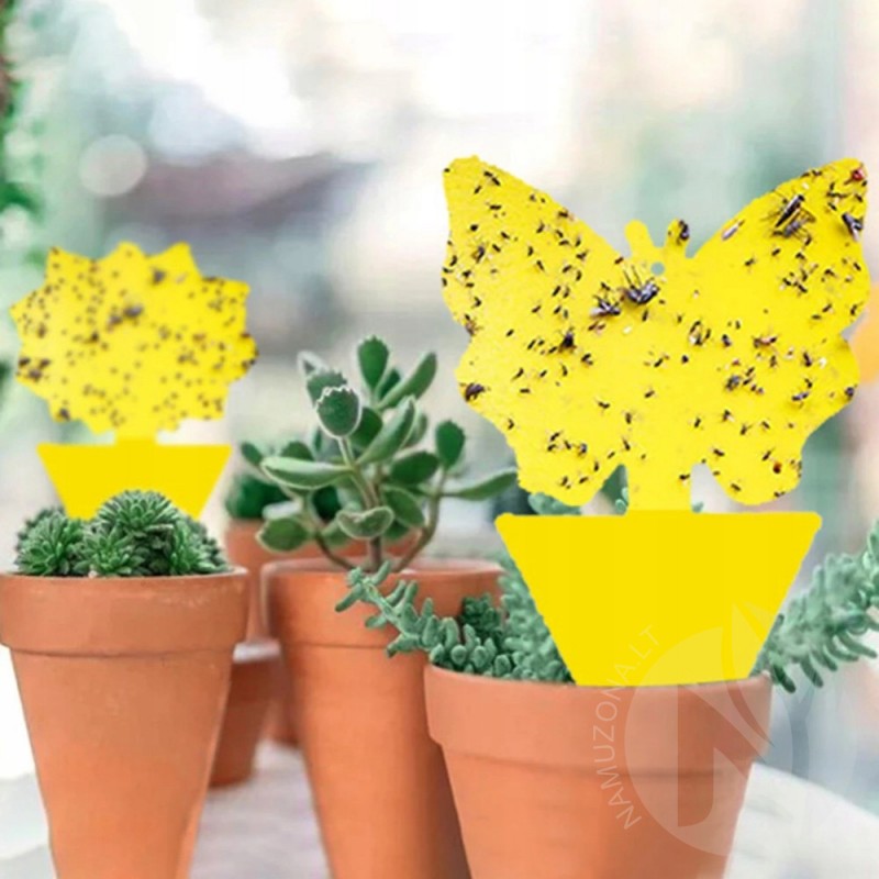 Insect trap for pots BUTTERFLY, yellow color