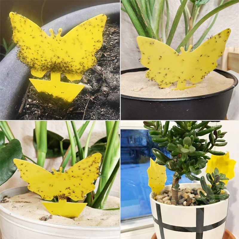 Lipni vabzdžių gaudyklė vazonams DRUGELIS, geltona spalva