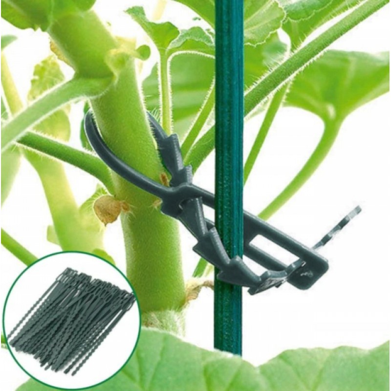 Tvirtinimo juostelės augalams, reguliuojamos, daugkartinės, 13cm, 50 vnt.