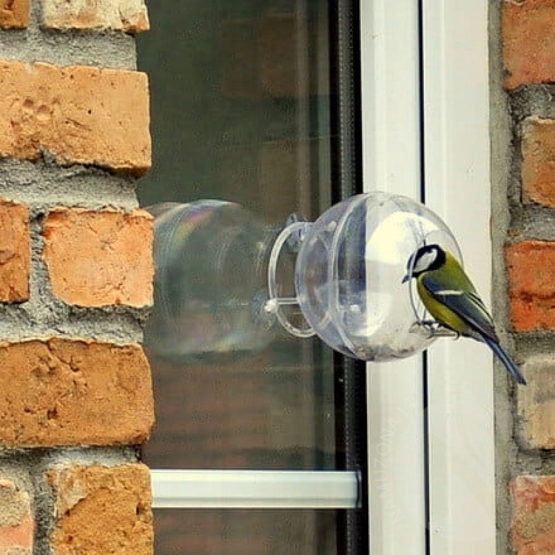 Lesykla / lesyklėlė paukščiams ORNITOLOG, tvirtinama ant stiklo, skaidri