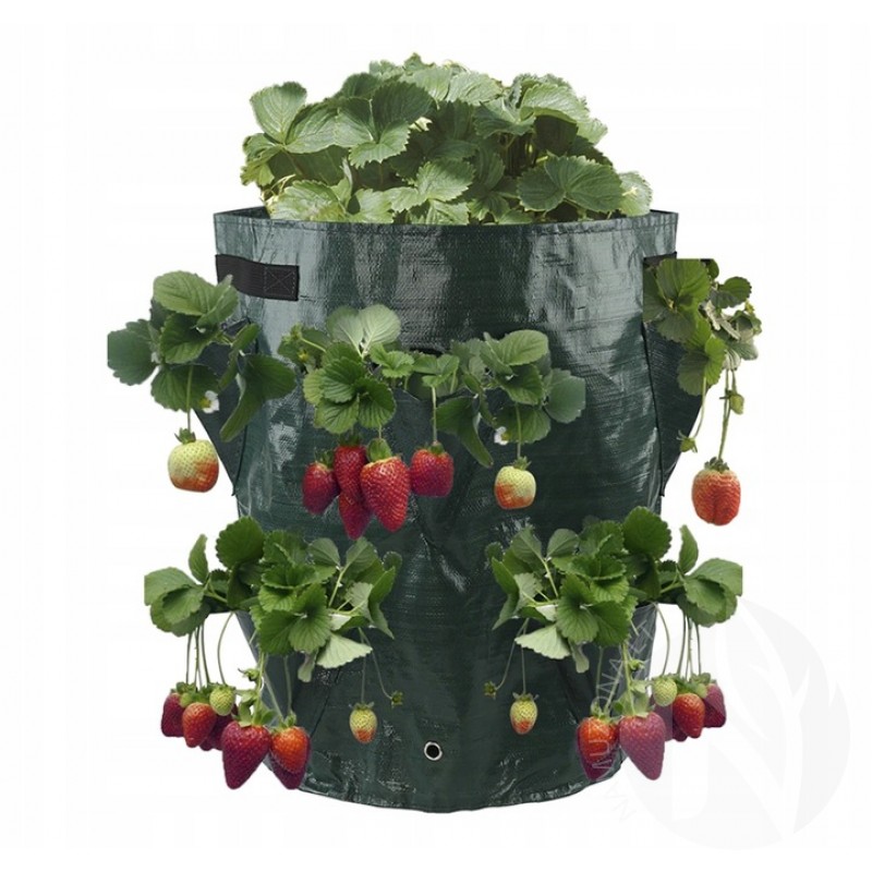 Strawberry planting bag AG691A 330x170mm