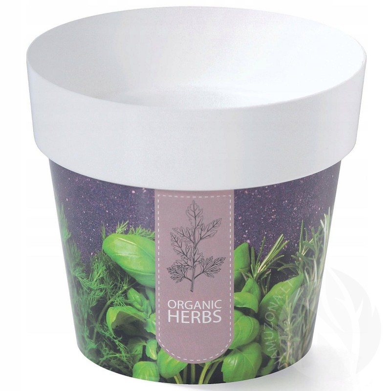 Pot for herbs, decorative, 14 cm