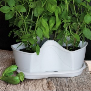 Pot for herbs Coubi Herbal, White or anthracite