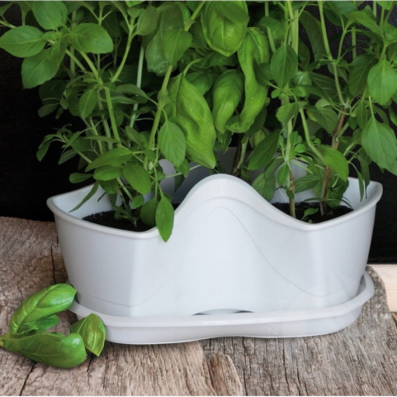 Pot for herbs Coubi Herbal, White or anthracite