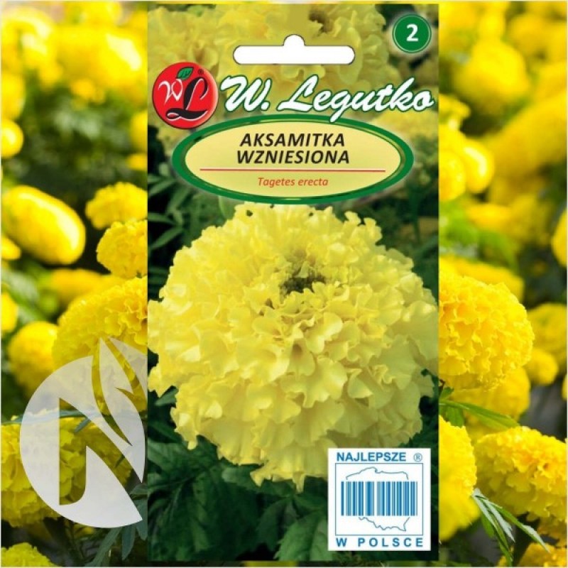 African Marigold (Tagetes Erecta Lemon-Yellow) 50 seeds (#1807)