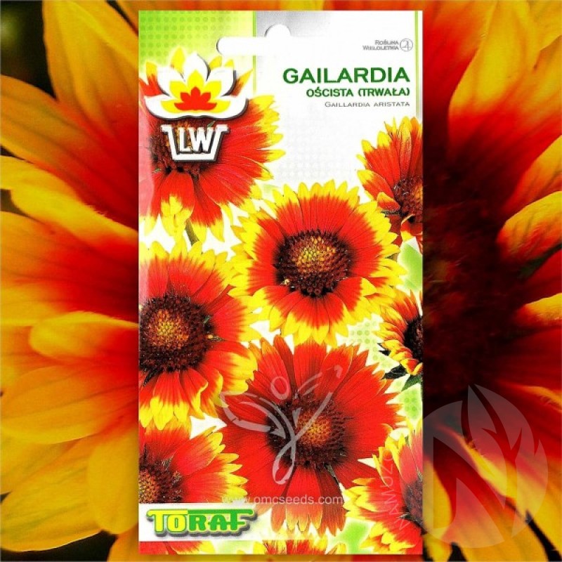 Blanket flower (Gaillardia Aristata Red-Yellow) 100 seeds (#1056)