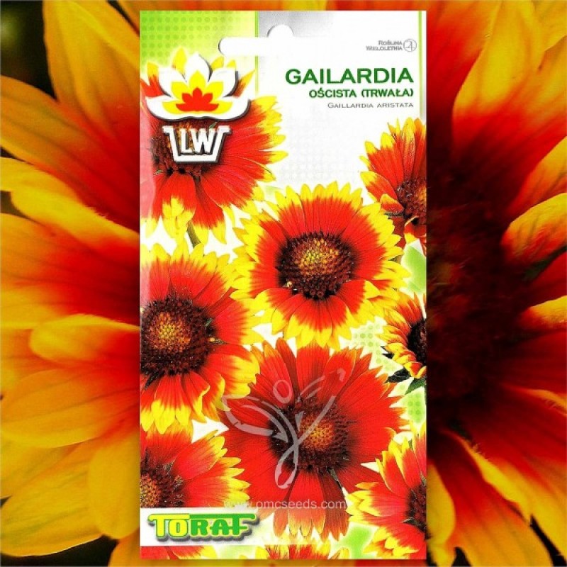 Blanket flower (Gaillardia Aristata Red-Yellow) 100 seeds (#1056)