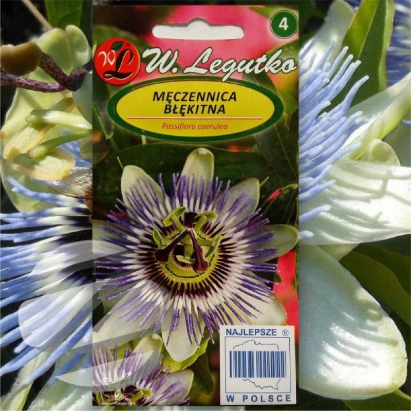 Pasiflora Valgomoji (Passiflora Caerulea Melsva) sėklos - 20 vnt (#1684)