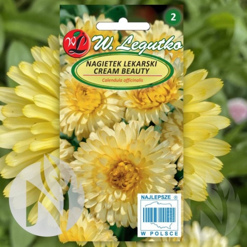 Calendula (Calendula Officinalis Cream Beauty) 200 seeds (#1936)