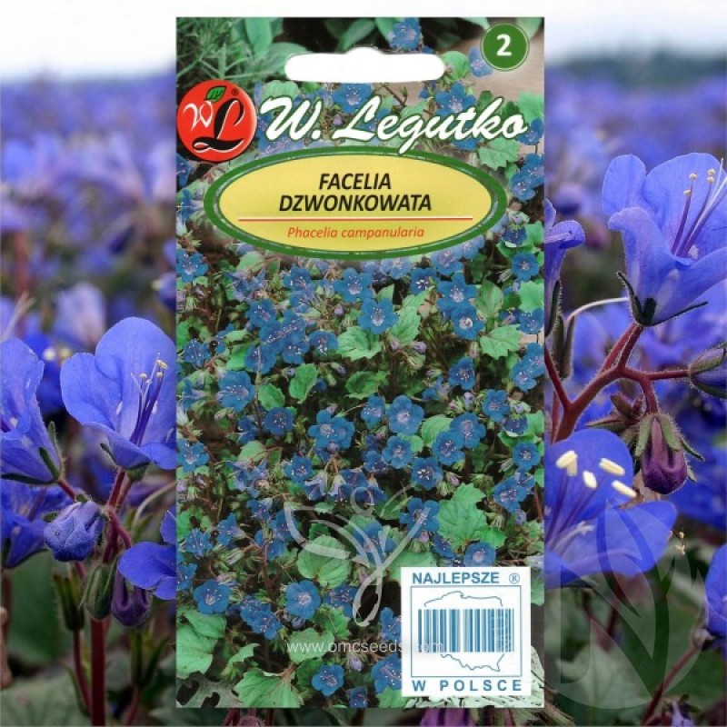 Facelija varpelinė (Phacelia Campanularia) sėklos - 700 vnt (#1033)