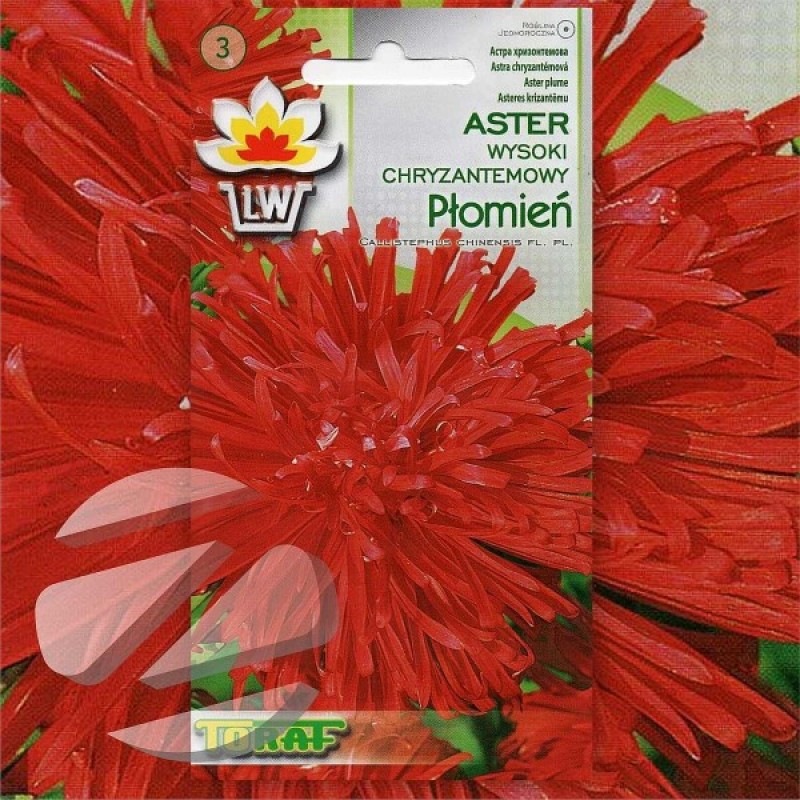Chinese Aster (Callistephus Chinensis Flame) 250 seeds (#1045)
