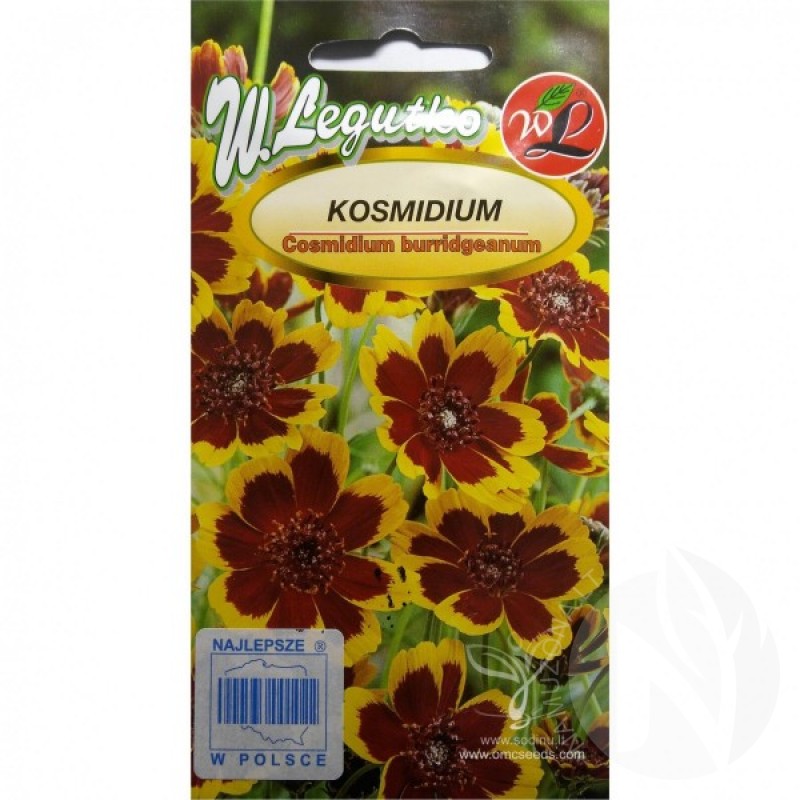 Kosmidija (Cosmidium Burridgeanum) sėklos - 50 vnt (#1777)