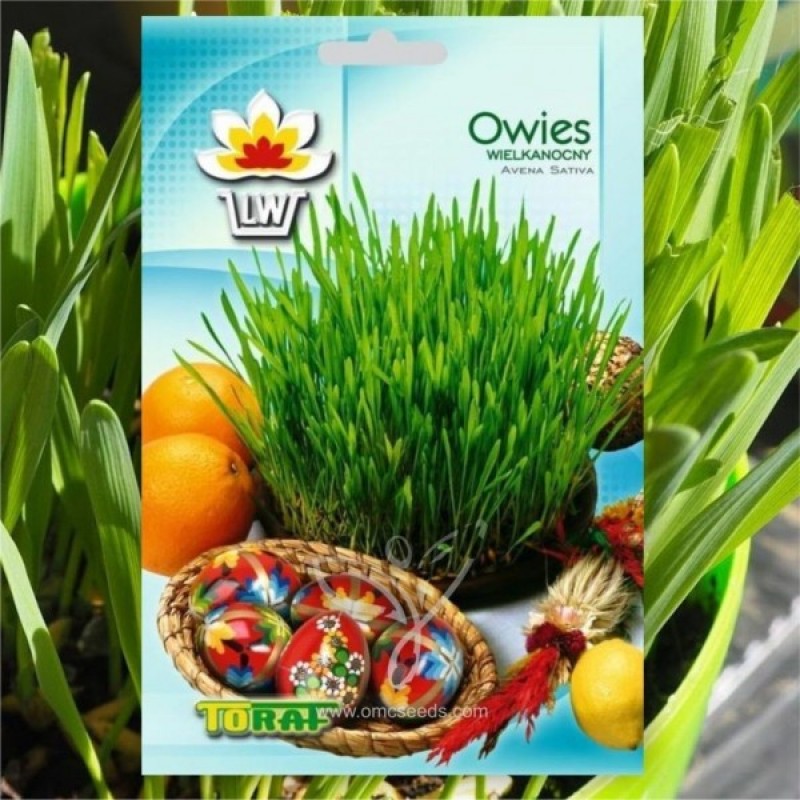 Velykų žolė, žolė katėms (Avena Sativa) sėklos - 30 gramų (#2209)