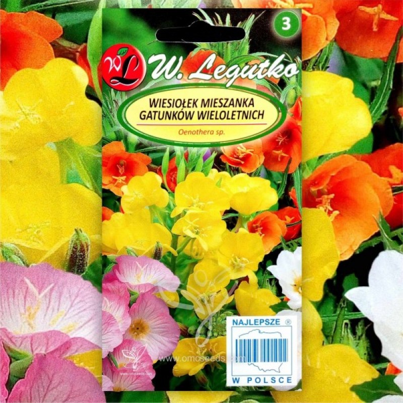 Nakviša puošnioji (Oenothera mix mišinys) sėklos - 40 vnt (#1333)