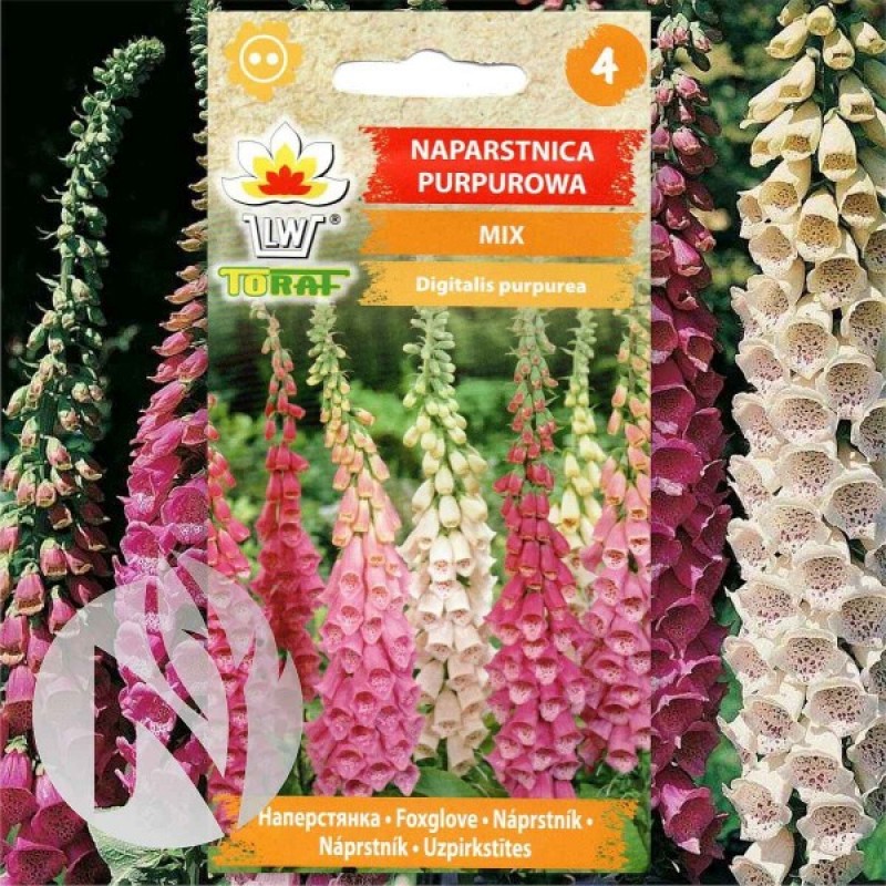 Foxglove (Digitalis Purpurea mix) 1000 seeds (#1037)