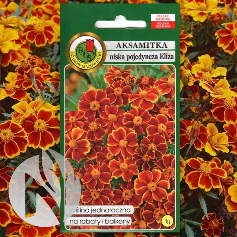 French Marigold (Tagetes Patula nana Eliza) 150 seeds (#2366)