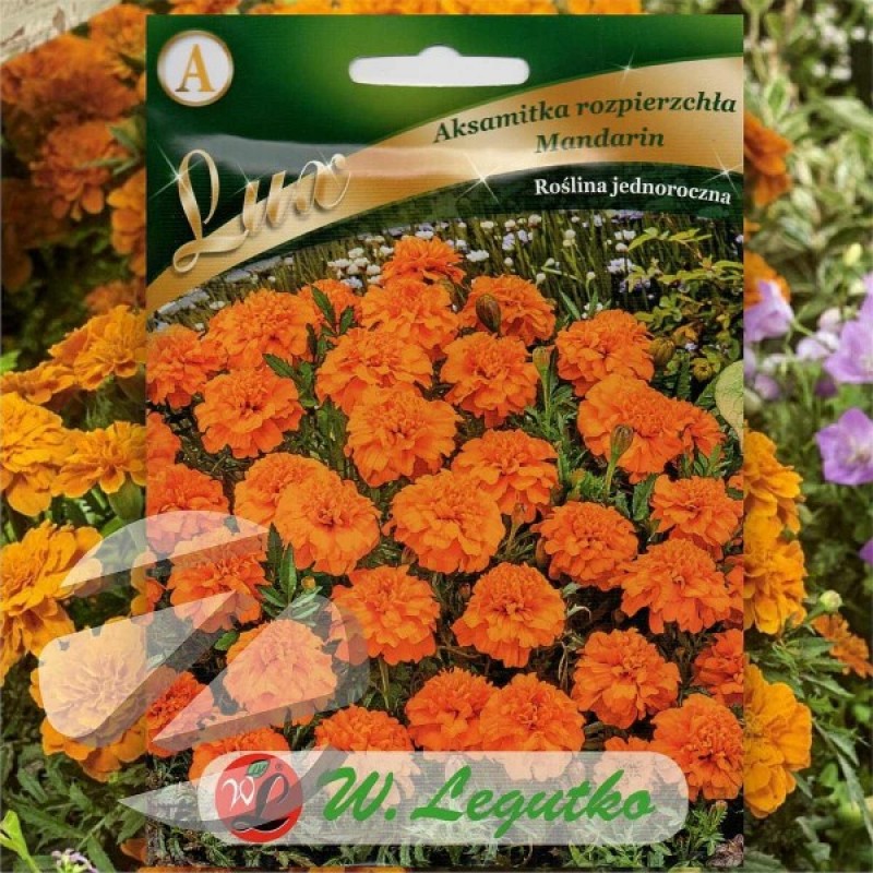 French Marigold (Tagetes Patula nana Mandarin) 150 seeds (#2279)