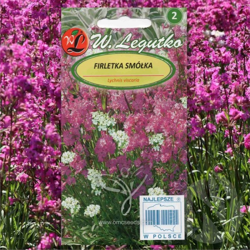 Sticky Catch Fly (Lychnis viscaria Pink and White) 350 seeds (#2143)