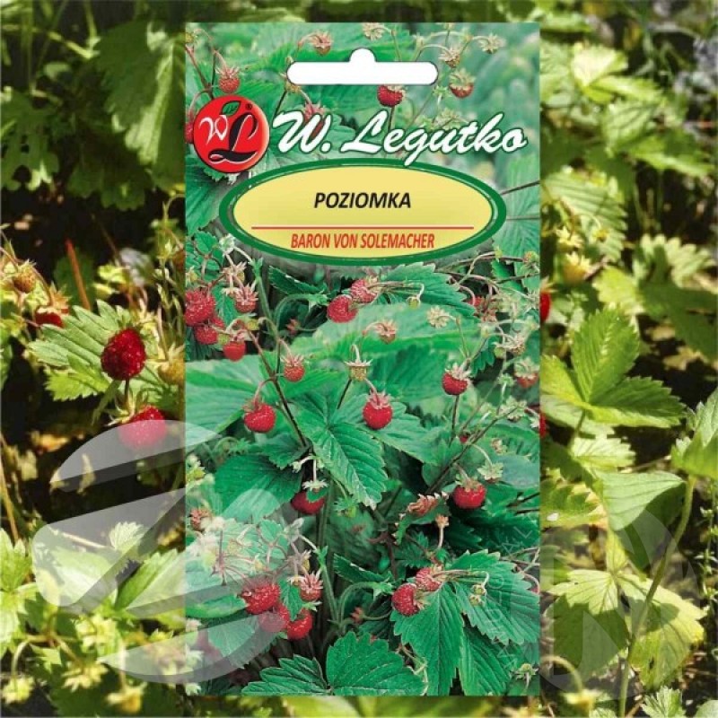 Garden Strawberry (Fragaria vesca Baron Von Solemacher) 400 seeds