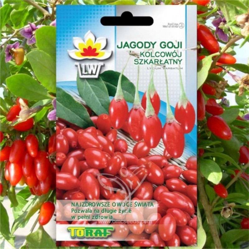 Goji Berry (Lycium Barbarum) 60 seeds (#2201)