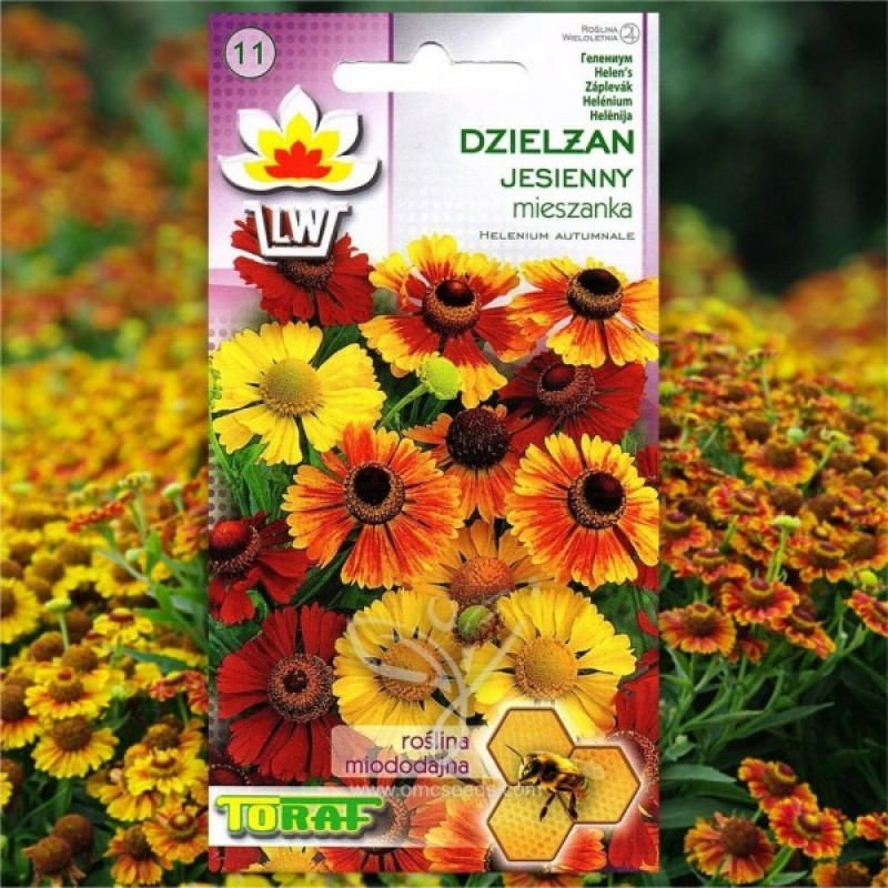 Helens Flower (Helenium Autumnale mix) 150 seeds (#2191)
