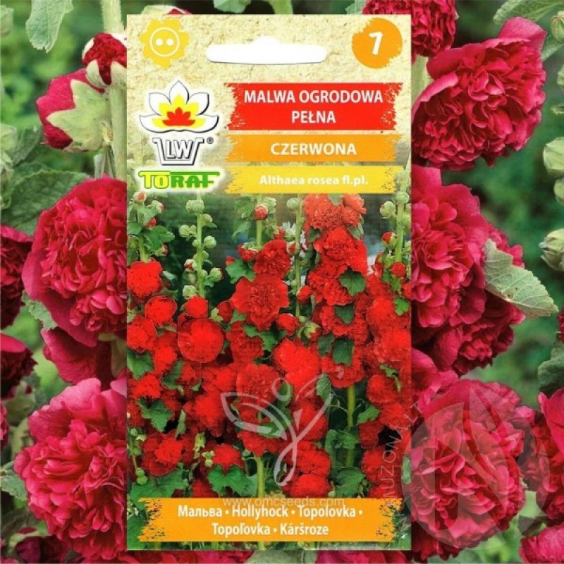 Hollyhock (Althaea Rosea red) 30 seeds (#2181)