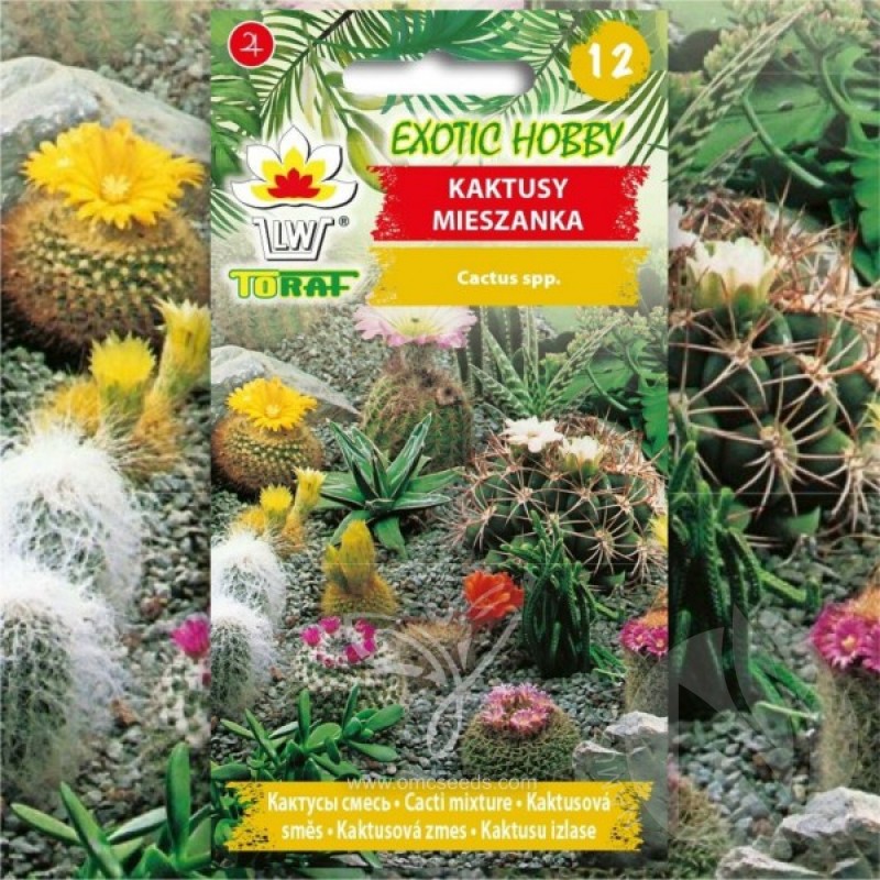 Various cactus for year long sow (Cactus mix) 40 seeds (#2224)