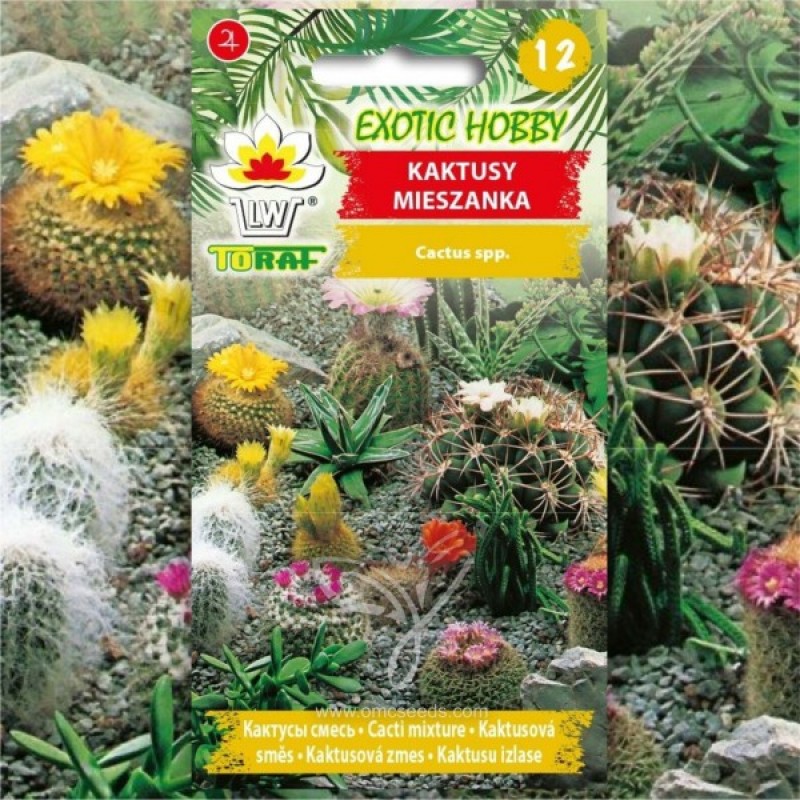 Įvairių Kaktusų sėklų mišinys (Cactus mix) sėklos - 40 vnt (#2224)