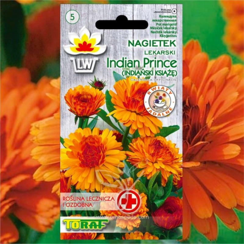 Pot Marigold (Calendula Officinalis Indian Prince) 70 seeds (#2241)