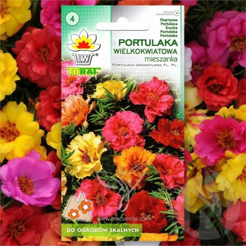 Portulaka didžiažiedė (Portulaca Grandiflora mišinys) sėklos - 1000 vnt (#2214)