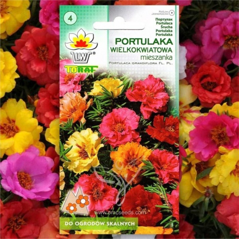 Portulaka didžiažiedė (Portulaca Grandiflora mišinys) sėklos - 1000 vnt (#2214)