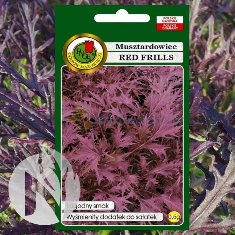 Mustard Spinach (Brassica Juncea Red Frills) 300 seeds (#1580)