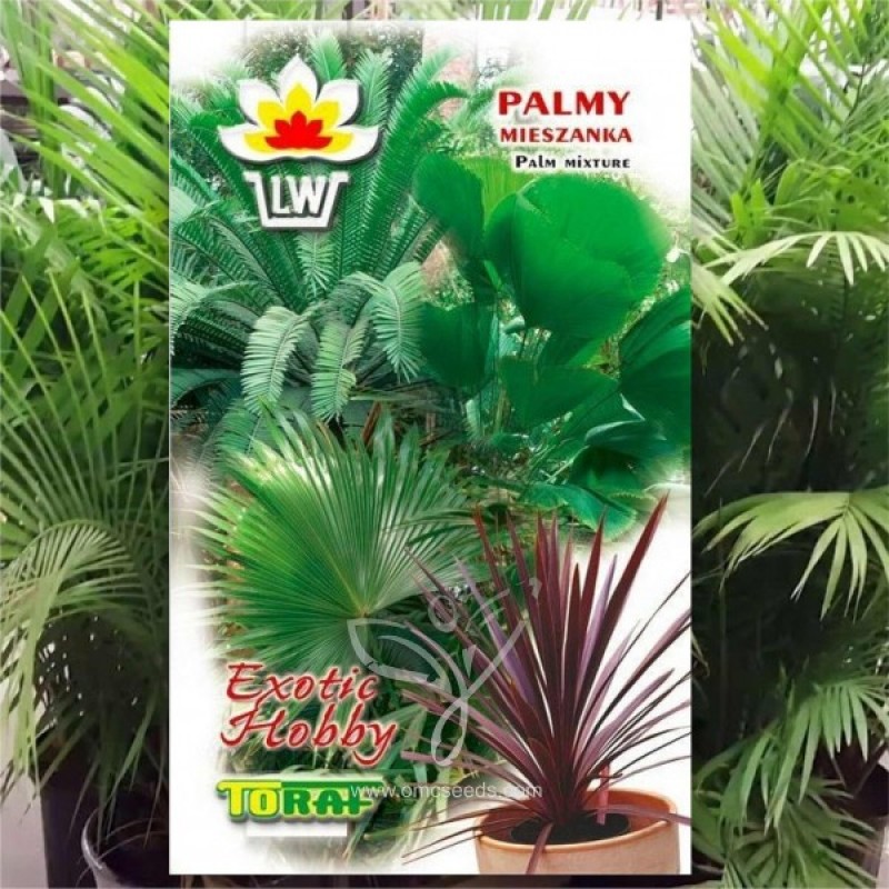 Palmių mišinys (Exotic Palm) sėklos - 5 vnt (#1966)