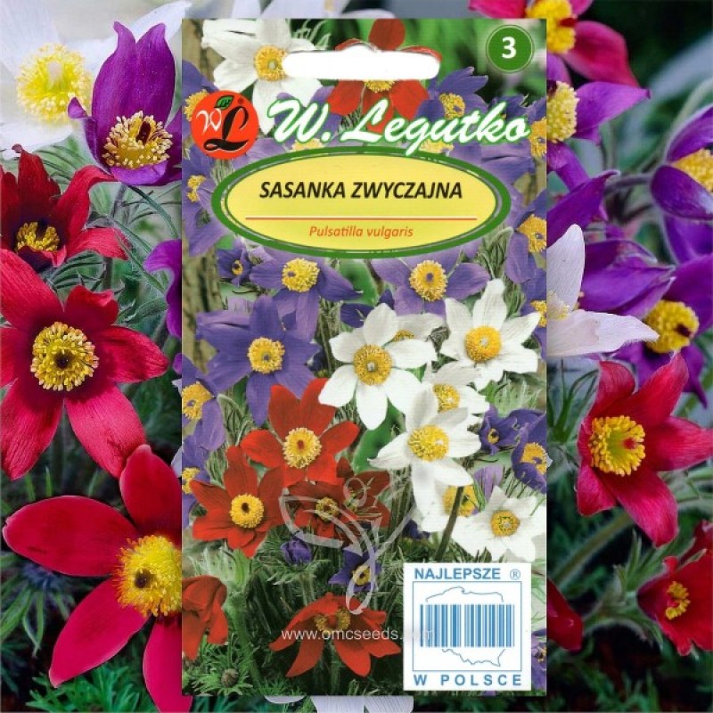 Pasque Flower (Pulsatilla Vulgaris mix) 30 seeds (#1696)
