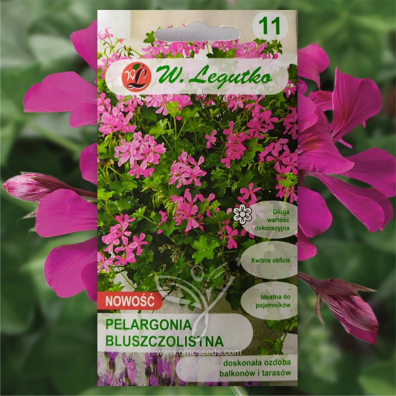 Pelargonija Skydalapė Svyrančioji (Pelargonium Peltatum Fuchsia) sėklos - 5 vnt (#2098)