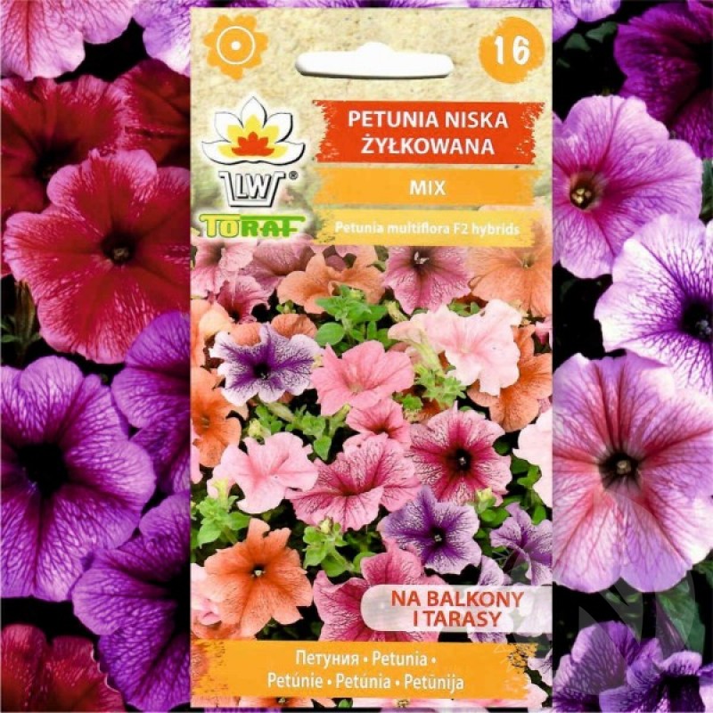 Petunija svyrančioji (Petunia multiflora hybrida mažaūgių mišinys) sėklos - 300 vnt (#2213)