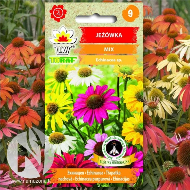 Ežiuolė (Echinacea mix mišinys) sėklos - 100 vnt. (#2140)