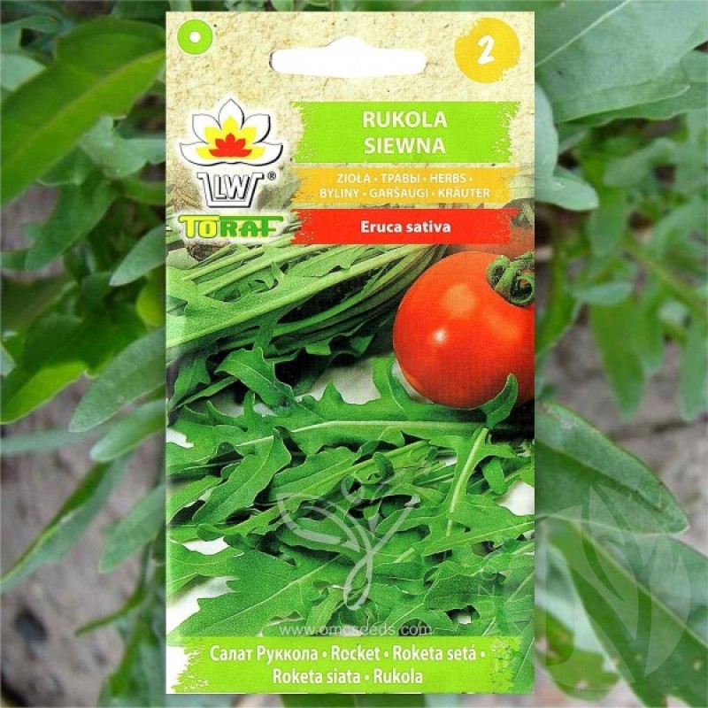 Rocket Salad (Eruca Sativa) 300 seeds (#1142)