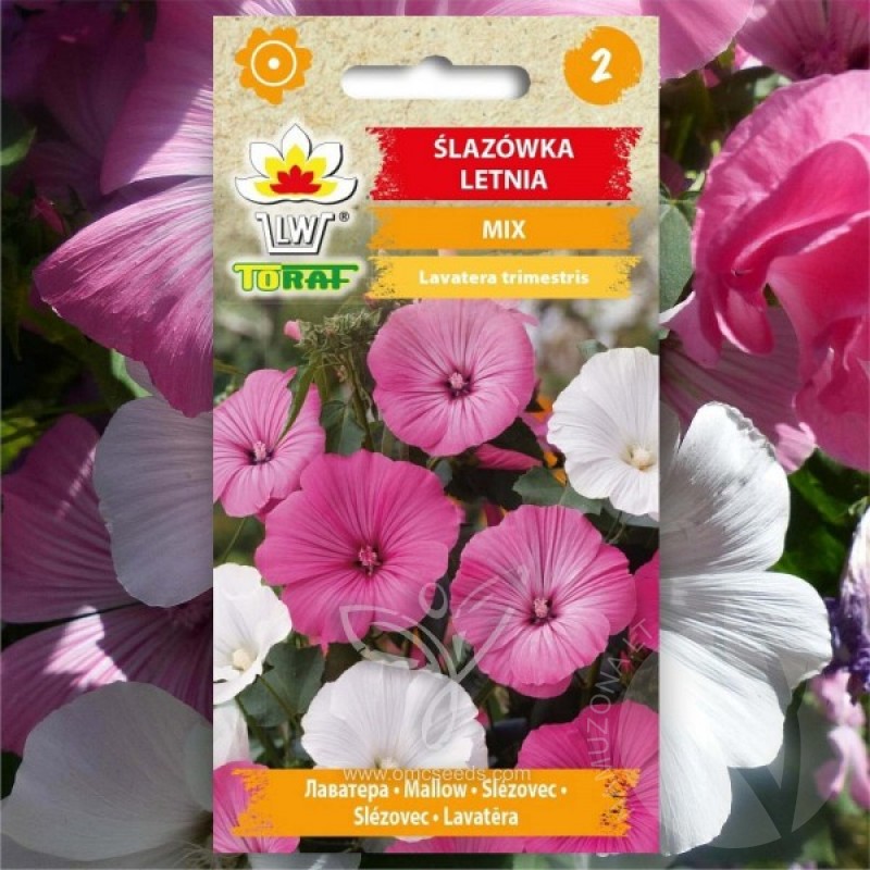 Royal Mallow (Lavatera Trimestris rose and white mix) 100 seeds (#1217)