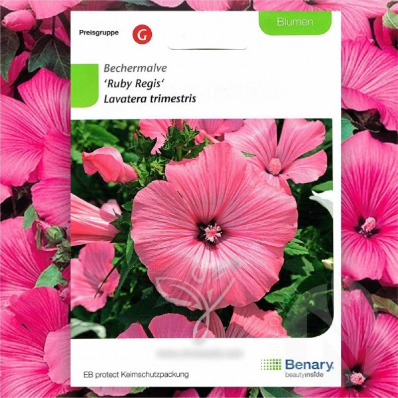 Rožūnė Darželinė (Lavatera Trimestris Ruby Regis) sėklos - 60 vnt (#1009)