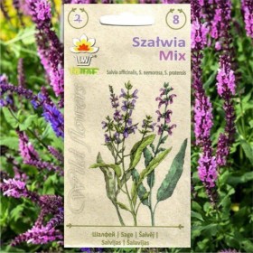 Šalavijas (Salvia TRIO rūšių mišinys) sėklos - 70 vnt. (#1369)