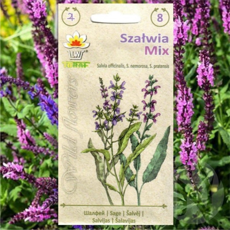 Mix of Sage species (Salvia TRIO) 70 seeds (#1369)