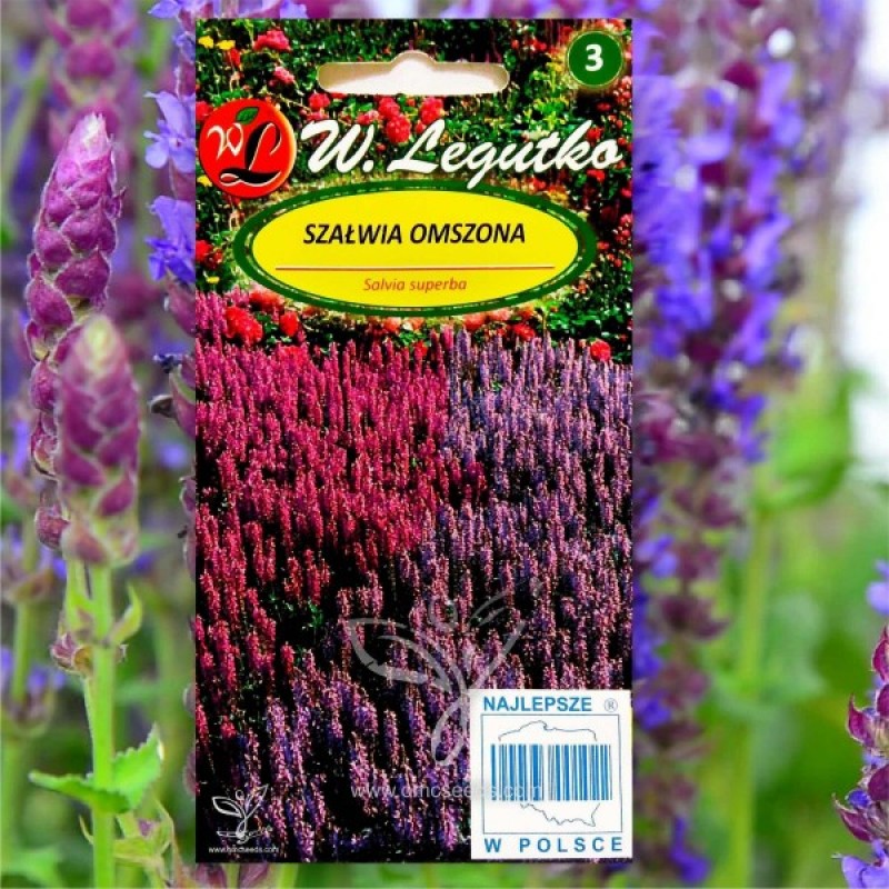 Šalavijas nuostabusis (Salvia Superba mišnys) sėklos - 70 vnt (#1702)