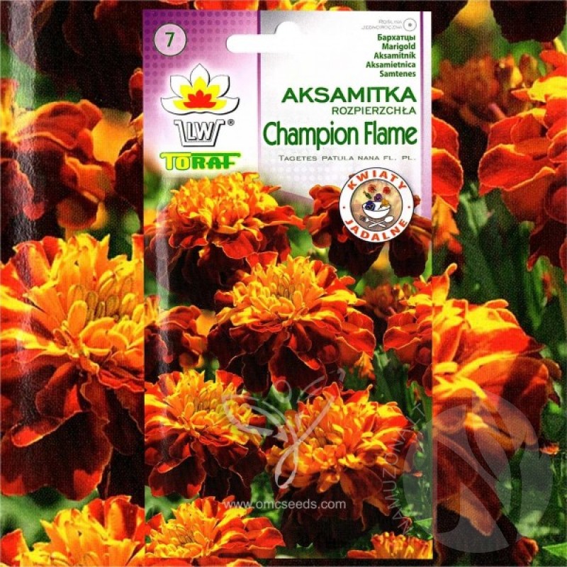 Serentis gvazdikinis (Tagetes Patula nana Champion Flame) sėklos - 50 vnt (#989)