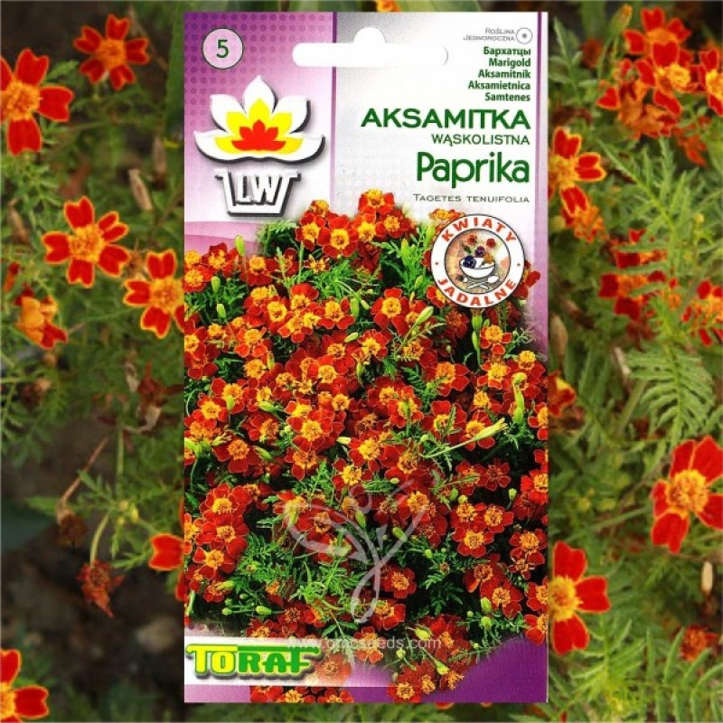 Signet Marigold (Tagetes tenuifolia Paprika) 100 seeds (#2226)