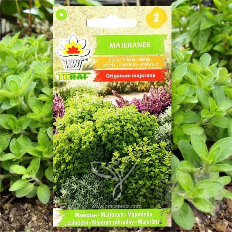 Sweet Marjoram (Origanum Majorana) 500 seeds (#1735)